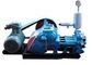 BW-250 Oil field Drilling Mud Pump geological survey horizontal two-cylinder reciprocating pump